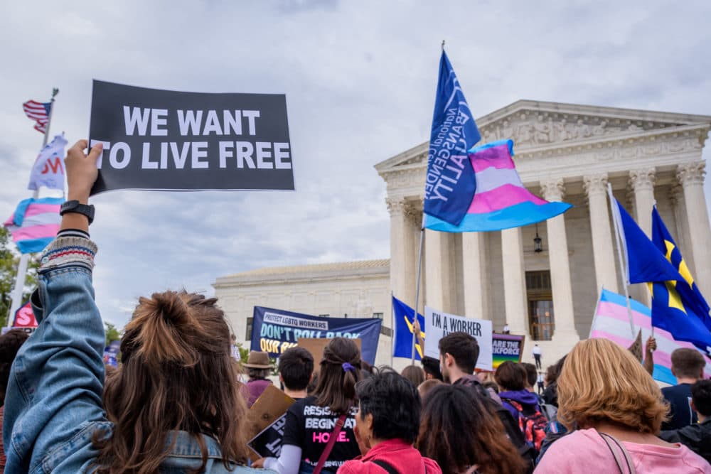 An activist holding a sign outside the Supreme Court in 2019. (Erik McGregor/LightRocket via Getty Images)