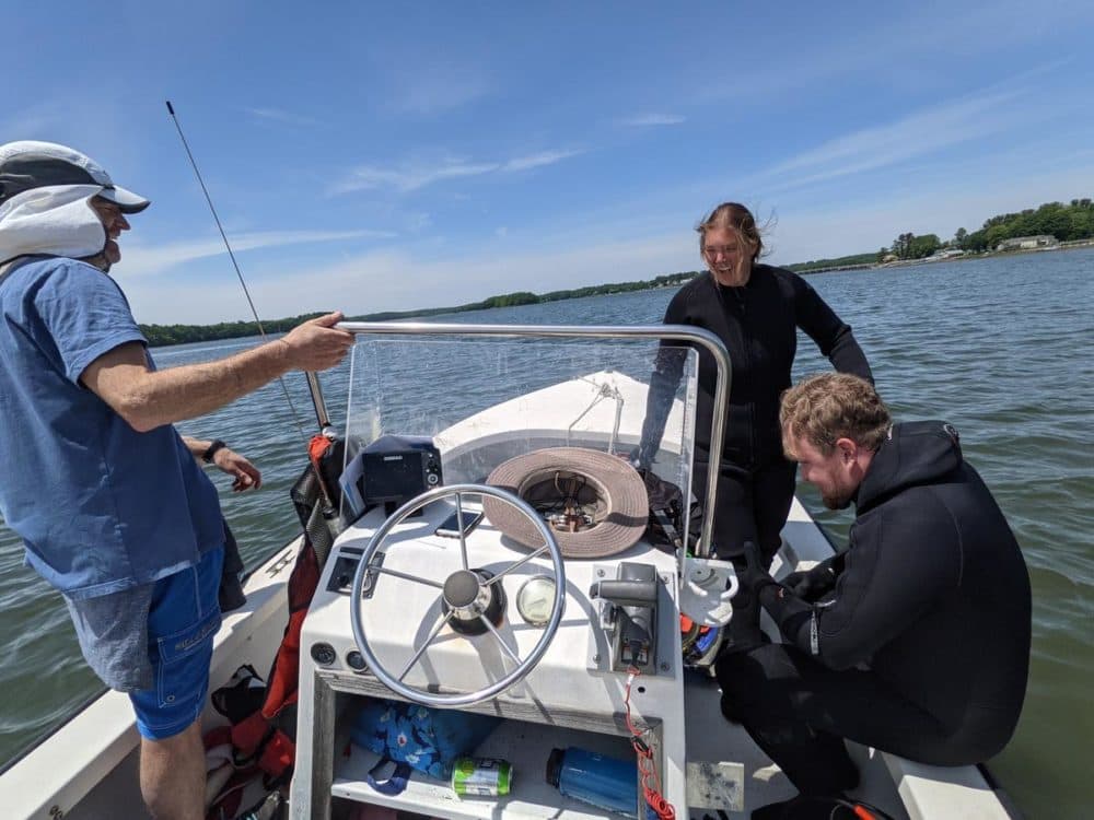 UNH researcher Kalle Matso, left, motors across the Great Bay estuary in Dover with divers Jenny Gibson and Nate Gruen. (Annie Ropeik, NHPR)