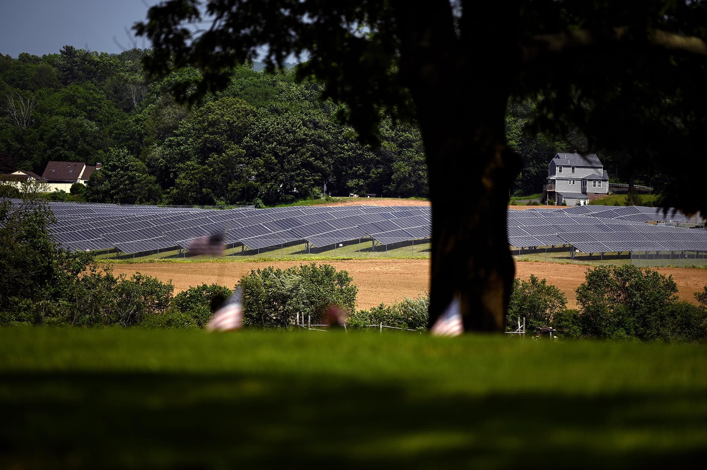 A solar farm near All Saints Cemetery in North Haven, Conn., on May 26, 2021. (Joe Amon/Connecticut Public)