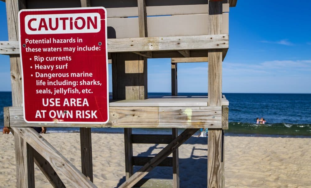 A sign on a lifeguard station warns visitors of the potential dangers associated with being in the water at Nauset Beach in Orleans. (Jesse Costa/WBUR)