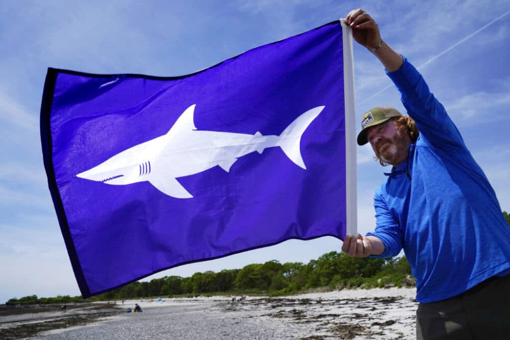 Jim Britt, communications director with the Maine Dept. of Agriculture, Conservation and Forestry, holds a new flag that will fly if sharks are detected near Maine beaches, Tuesday, June 1, 2021, at Crescent Beach in Cape Elizabeth, Maine. Last summer Maine had its first documented fatal shark attack. (Robert F. Bukaty/AP)