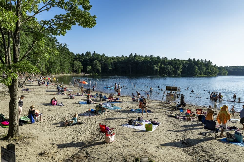 Walden Pond beach in Concord, Mass in 2019. (John Greim/Loop Images/Universal Images Group via Getty Images)