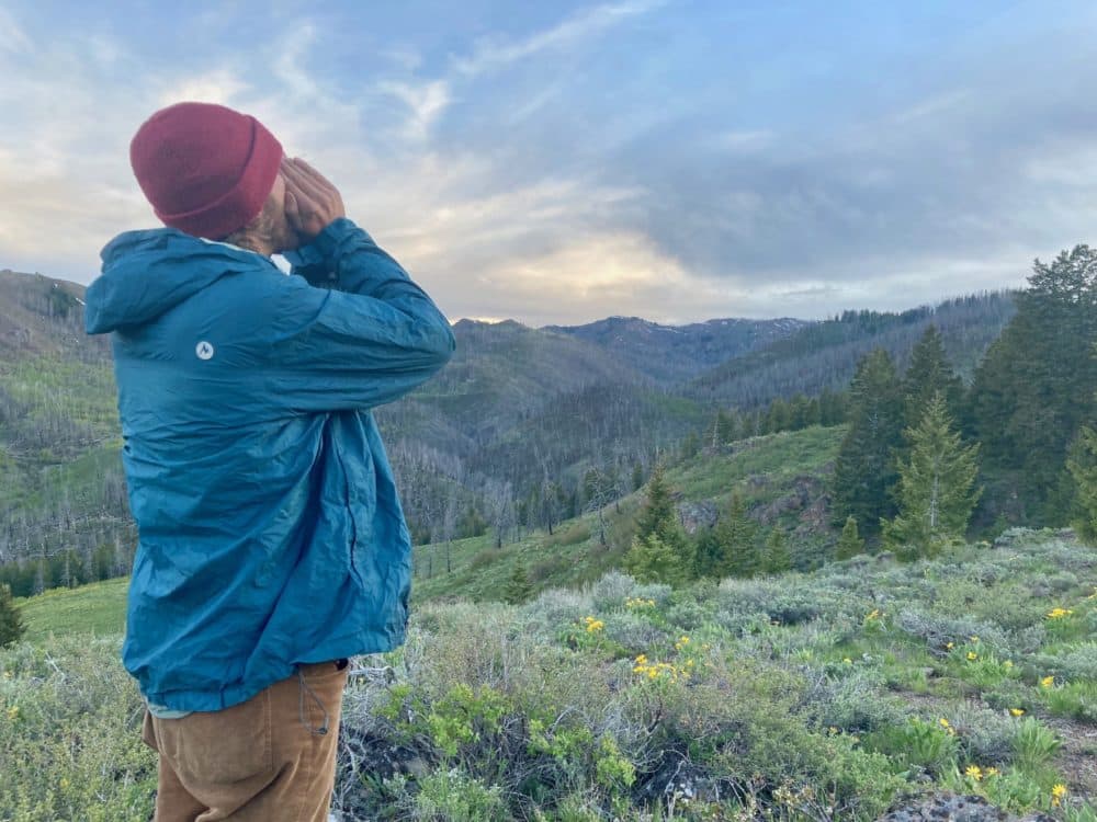 Logan Miller, a field technician for the Wood River Wolf Project, conducts a howling survey to try to locate wolf packs in the valley. (Rachel Cohen/Boise State Public Radio)