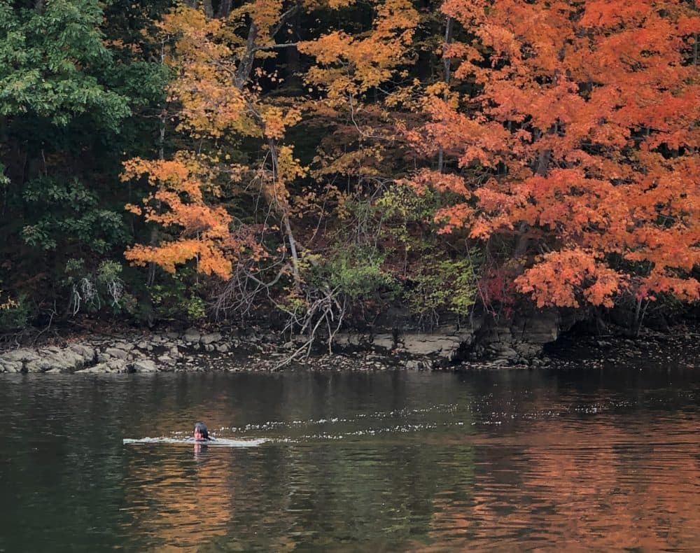 The author swimming in the Salmon Falls River in October 2020. (Courtesy Kathy Gunst)