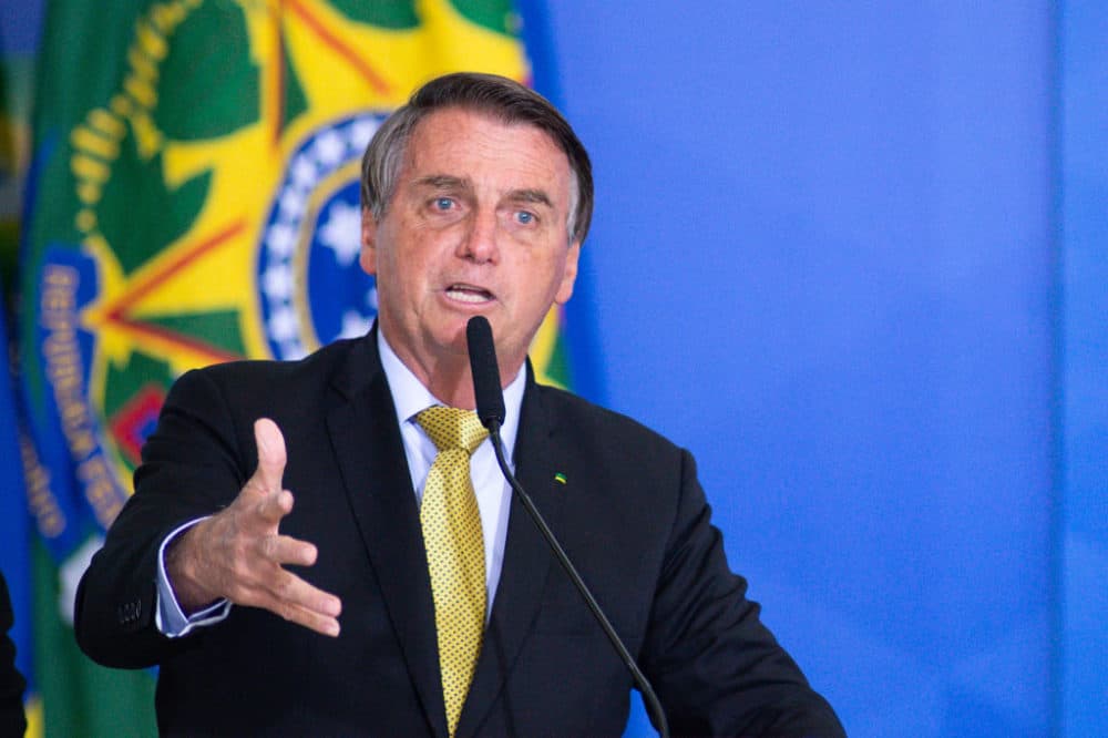 President of Brazil Jair Bolsonaro speaks during an event to launch a new register for professional workers of the fish industry at Planalto Government Palace (Andressa Anholete/Getty Images)