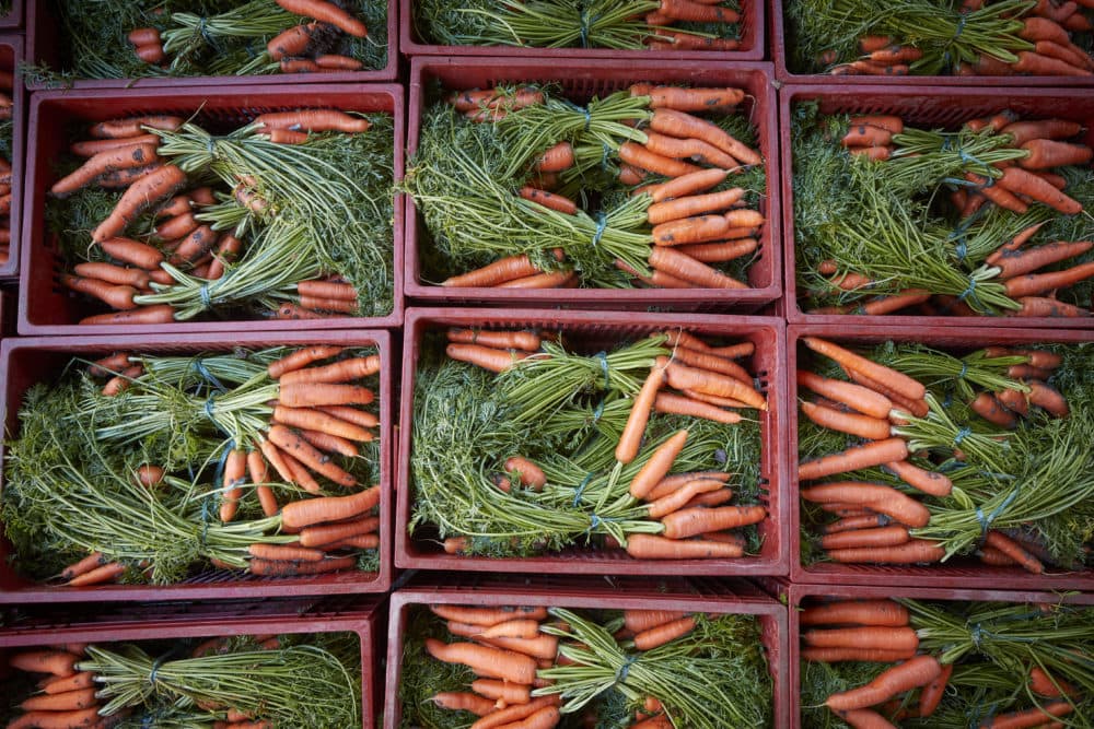 Freshly picked carrots. (Kiran Ridley/Getty Images)