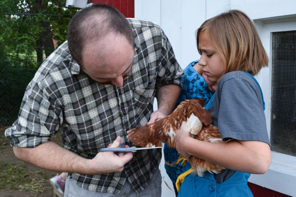Fifth grader Kayla McIntosh holds one of the chickens as Spencer Baldwin trims its wings. (Katie Peikes)
