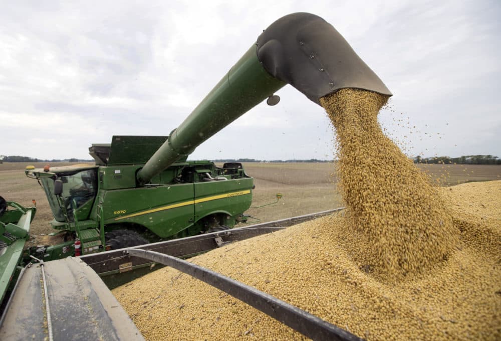 Soybeans are offloaded from a combine during the harvest in Brownsburg, Indiana, in 2018. (Michael Conroy/AP)