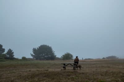 A man and his dog take in the fresh air and fog, in a clearing along Main Street, in the seaside town of Mendocino, CA, Monday evening, Aug. 9, 2021. The towns of Mendocino and Fort Bragg are feeling the effects of drought, in a region surrounded by water. (Jay L. Clendenin/Los Angeles Times via Getty Images)