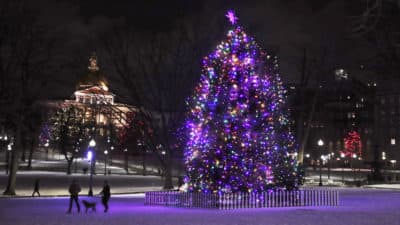 A couple walks a dog past the Boston Common Christmas tree in 2019, an annual gift given to the people of Boston by the people of Nova Scotia in thanks for their assistance after the 1917 Halifax Explosion. (Charles Krupa/AP)