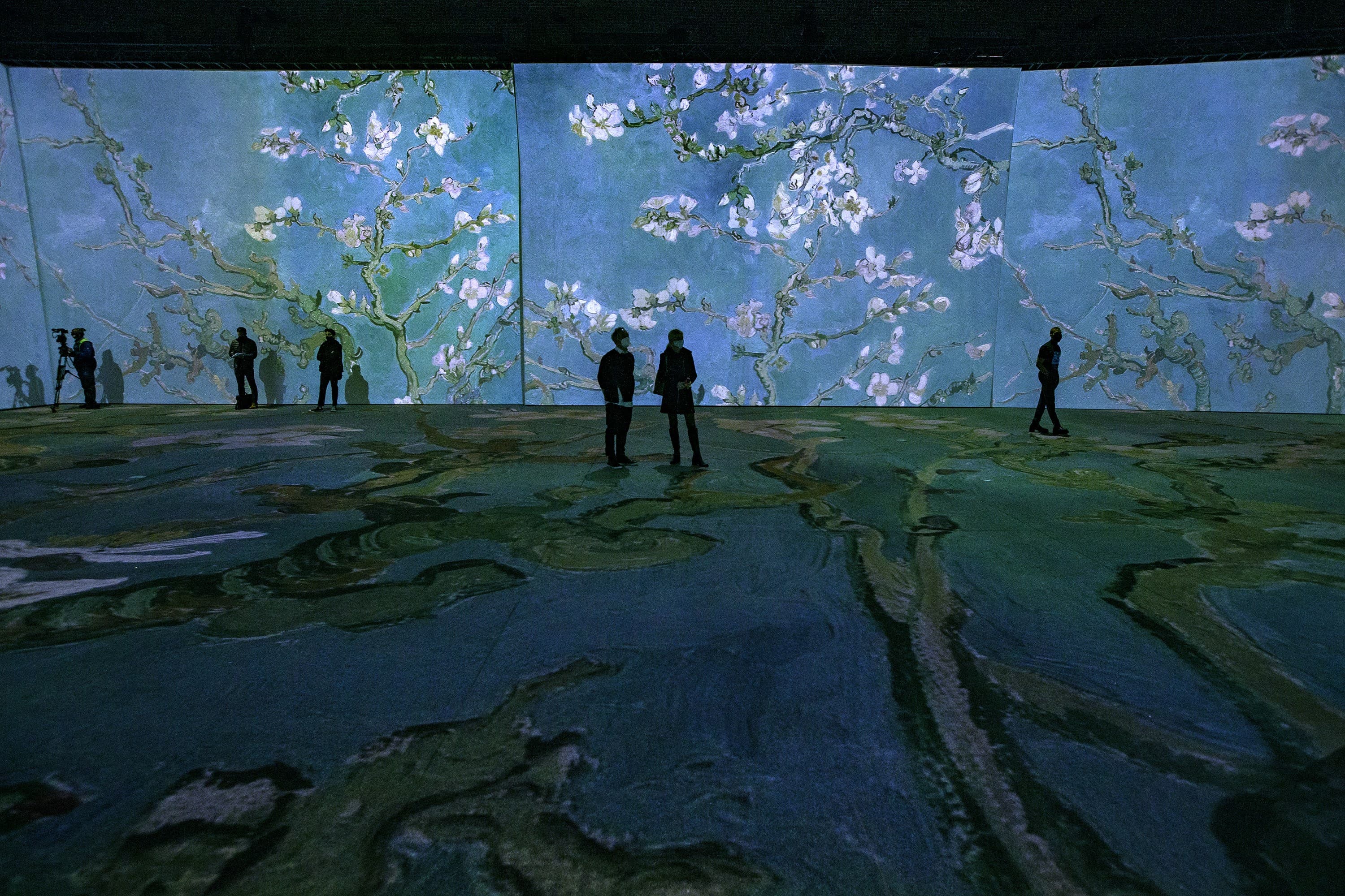 Van Gogh’s “Almond Blossom” is projected onto the walls during a press preview of “Imagine Van Gogh” at the SoWa Power Station in the South End. (Jesse Costa/WBUR)