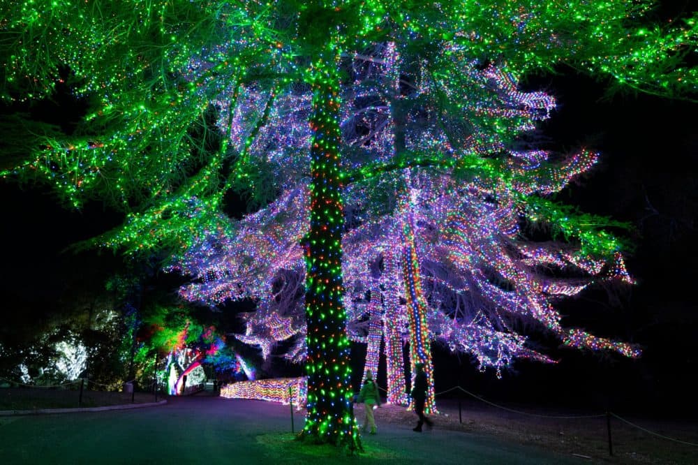 Two visitors walks past trees decorated with Christmas lights at Holiday Road light show in Calabasas, Calif., Friday, Dec. 10. (Jae C. Hong/AP)