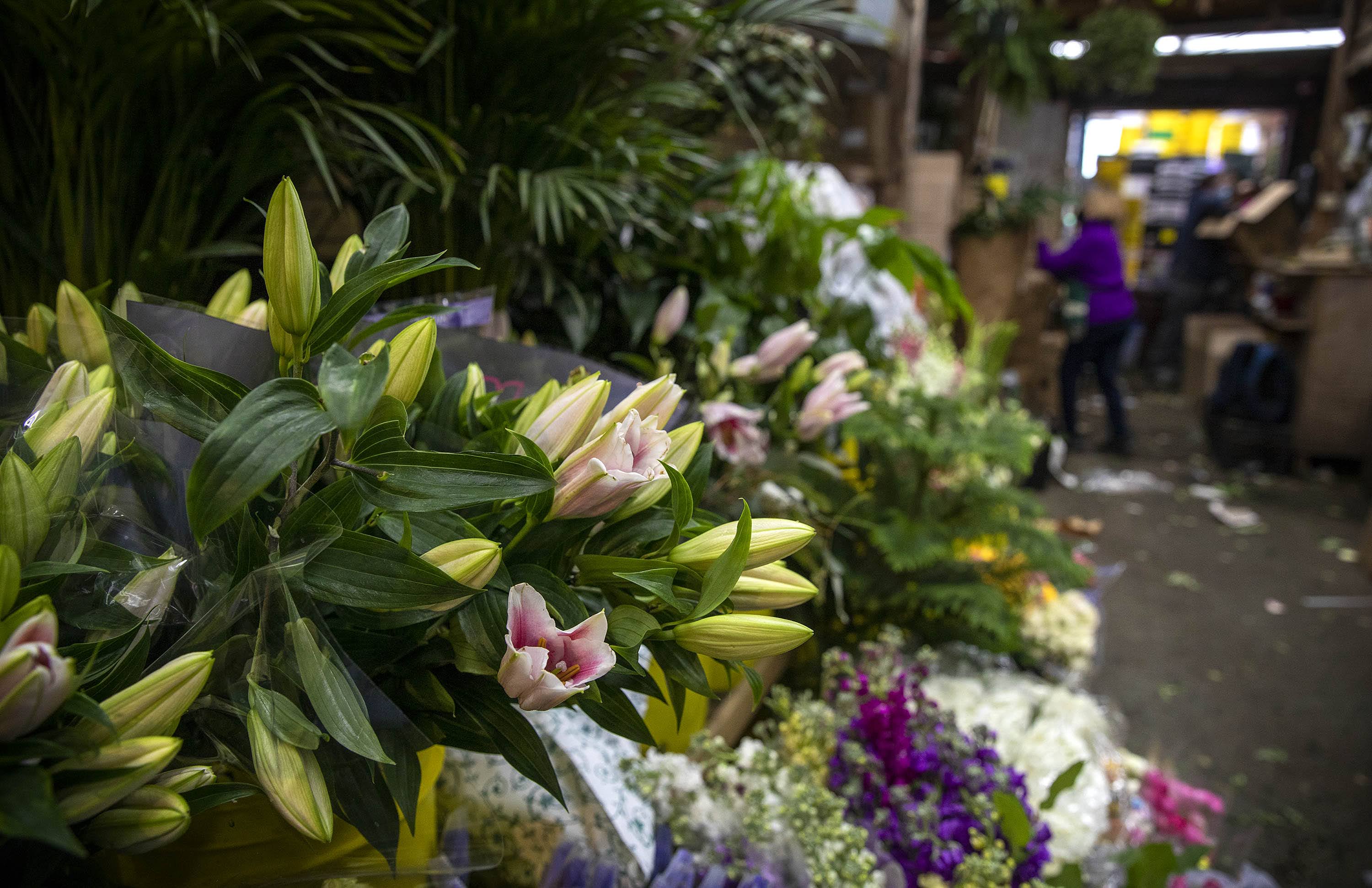 Flowers on display at Brattle Square Florist. (Robin Lubbock/WBUR)