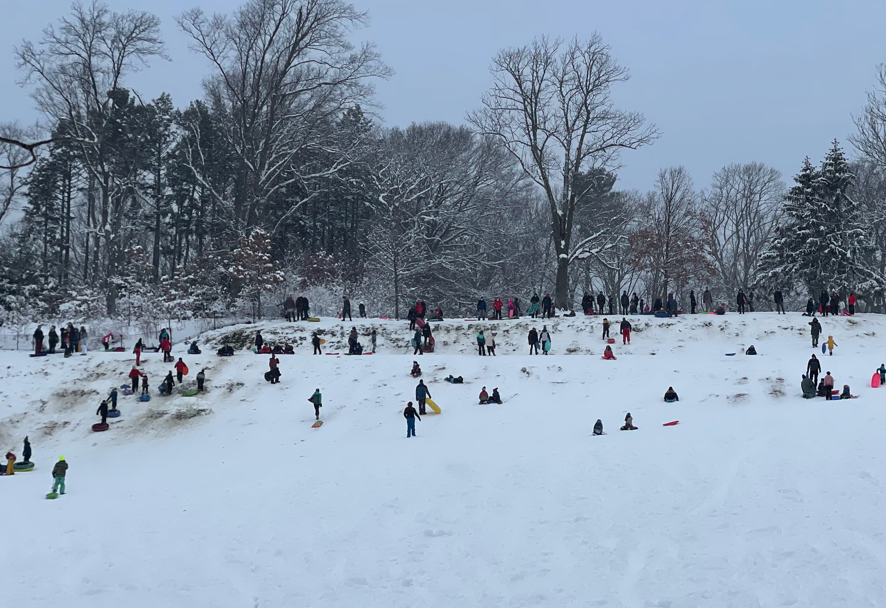Dozens of families took to their sleds at Kingsley Park in Cambridge on Friday. The image shows kids sledding or climbing the hill while parents stand and watch. (Max Larkin/WBUR)