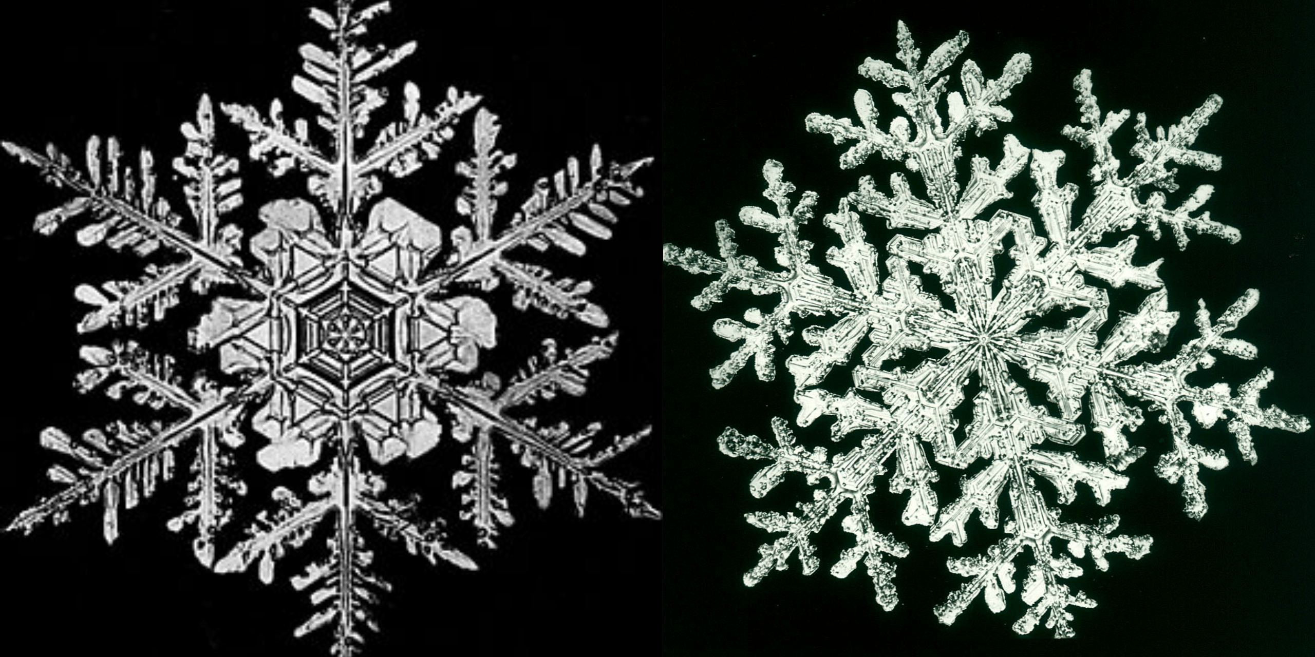Images of snowflakes, captured by Wilson Bentley. (Courtesy Jericho Historical Society)