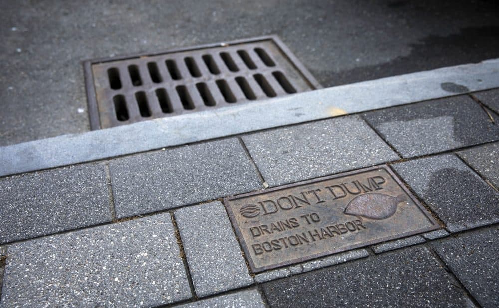 A plaque on a sidewalk in Boston warns of the potential harm caused by dumping into storm drains. (Robin Lubbock/WBUR)