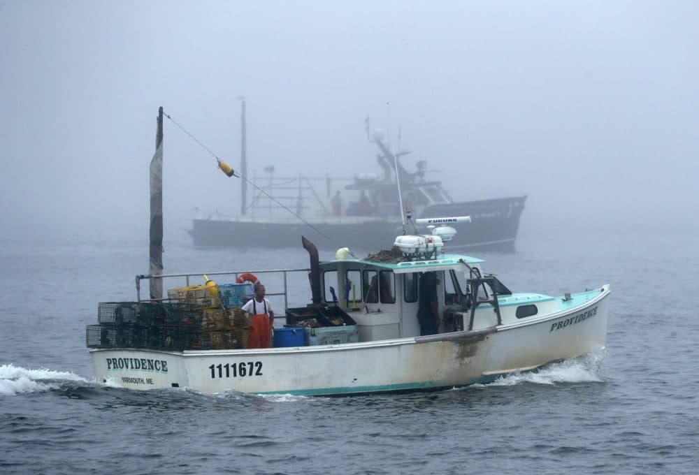Lobster fishing boats head out to sea on a foggy morning off South Portland, Maine. (Robert F. Bukaty / AP)