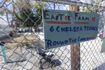 A sign at the entrance of Eastie Farms on Chelsea Terrace during the opening of the new greenhouse . (Jesse Costa/WBUR)
