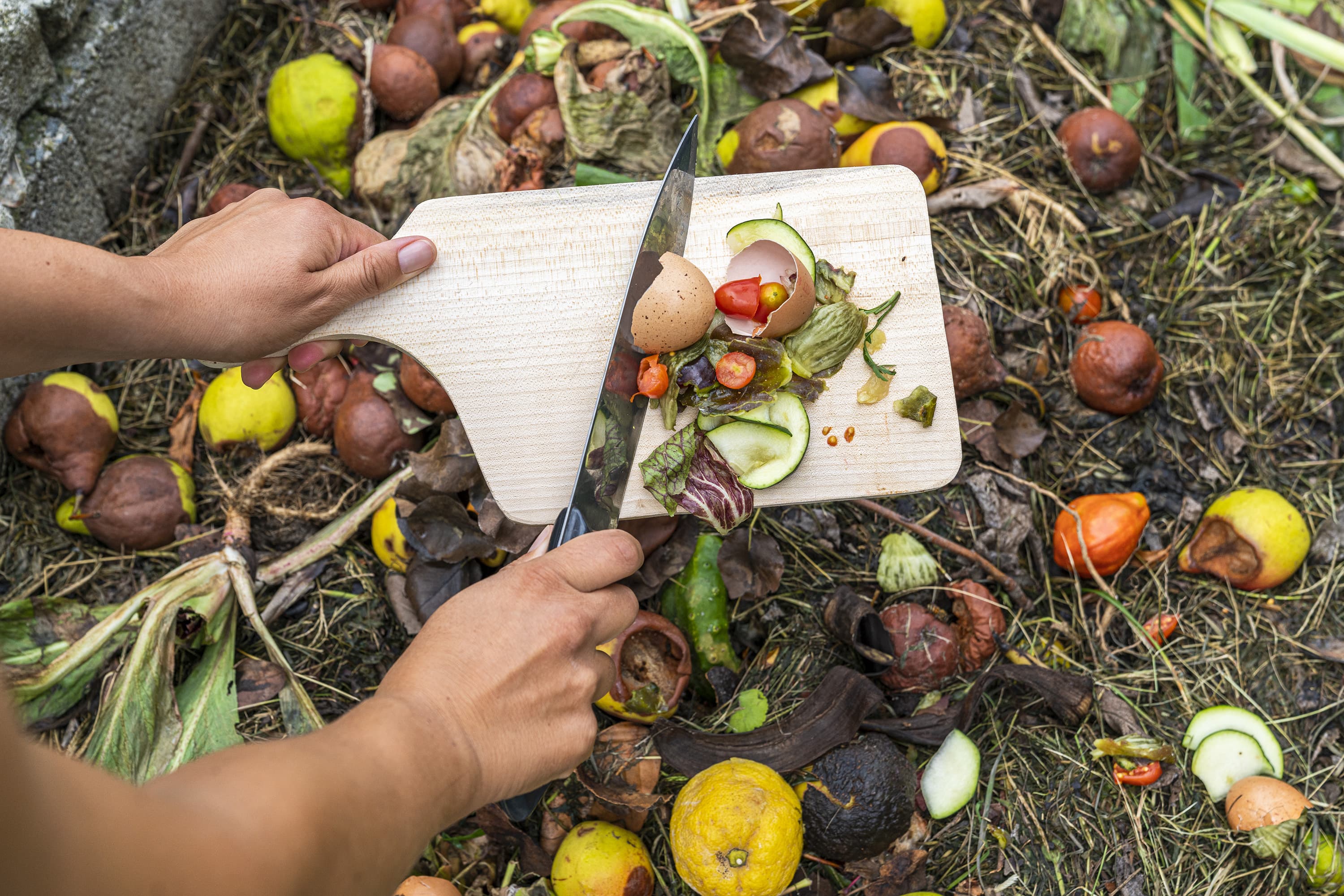 Woman's hands throwing food scraps in the compost heap. (Francesco Vaninetti Photo via Getty Images)