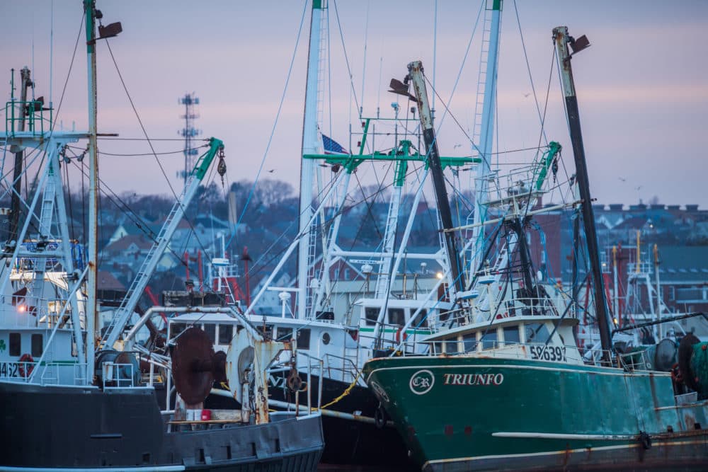 New Bedford is the nation's top-grossing fishing port, with most of that revenue coming from scallops. (Gretchen Ertl/The Public's Radio)