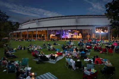 An audience on the lawn of the Koussevitsky Music Shed at Tanglewood in 2018. (Courtesy Fred Collins)