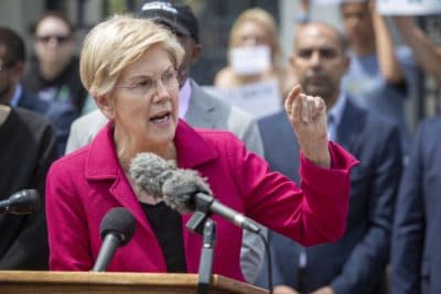 Sen. Elizabeth Warren speaks to a crowd gathered at the Massachusetts State House on Friday. (Robin Lubbock, WBUR)