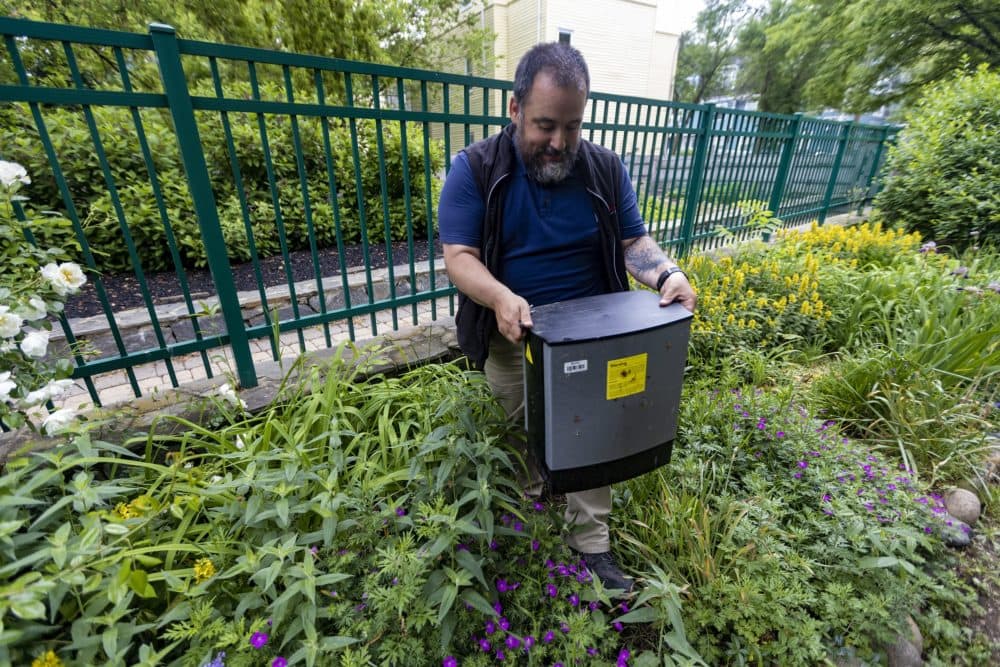 Mike Doucette of Modern Pest Services pulls out a SMART box electronic rat trap set up along the bike path outside of Davis Square in Somerville to check its contents. (Jesse Costa/WBUR)