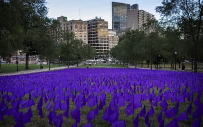 Twenty-thousand purple flags planted on Boston Common in front of the State House commemorate the people who lost their lives to drug overdoses in Massachusetts over the last 10 years. (Robin Lubbock/WBUR)