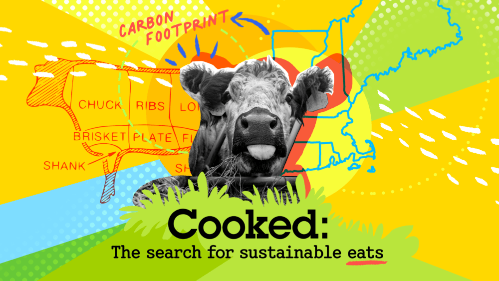 We explore the role of meat in Cooked, our newsletter on the search for sustainable eats in New England.