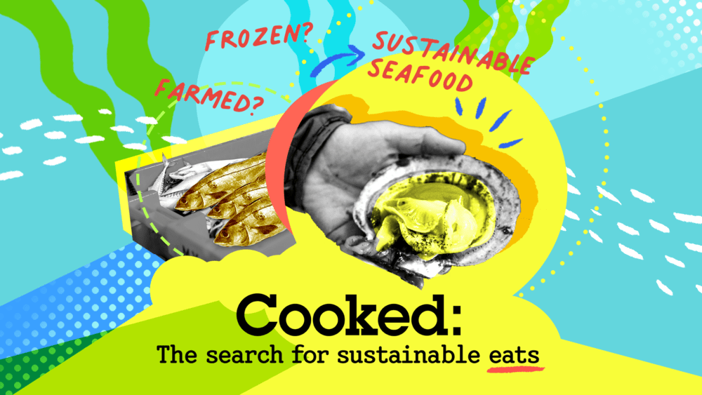 What's the future of seafood on this planet?, Good Food