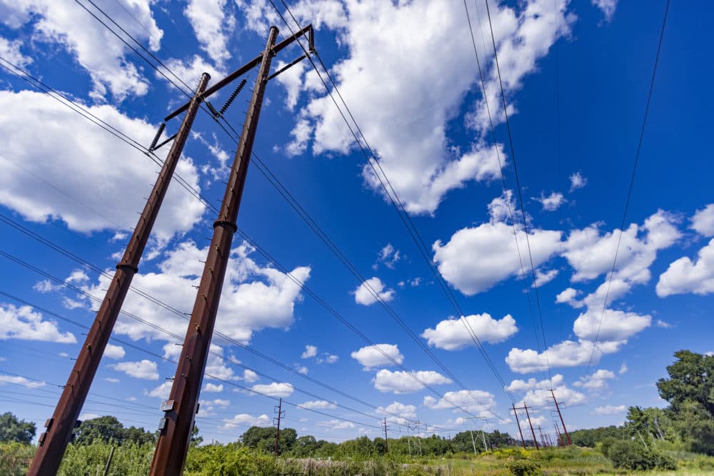 It's difficult to build transmission infrastructure on land in New England.(Jesse Costa/WBUR)