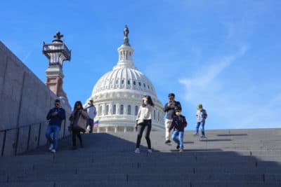 With the U.S Capitol in the background, people walk down steps on Election Day in Washington, Nov. 8, 2022. (Mariam Zuhaib/AP)