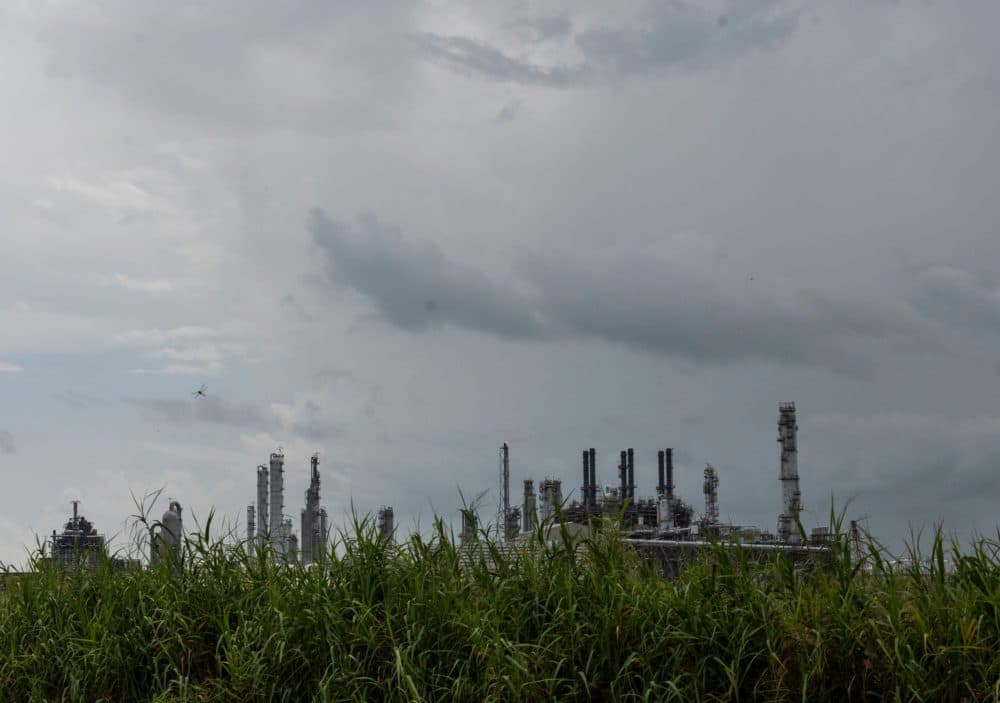 A Total oil refining plant is seen near a sugar cane field near Port Arthur, Texas on Aug. 28, 2020. (Andrew Caballero-Reynolds/AFP via Getty Images)