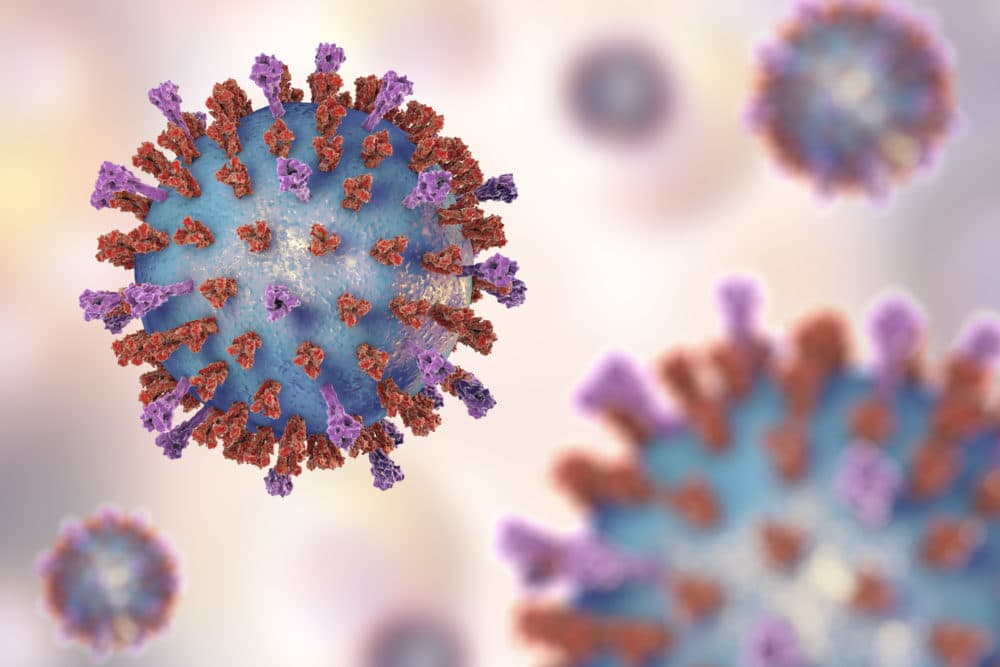 Respiratory syncytial virus (RSV) particles, computer illustration. (Kateryna Kon/Science Photo Library via Getty)