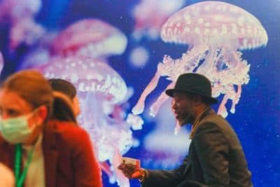 Participants in front of a jellyfish picture during the United Nations Biodiversity Conference of the Parties (COP15) in Montreal, Quebec, on December 13, 2022. (Lars Hagberg/AFP via Getty Images)