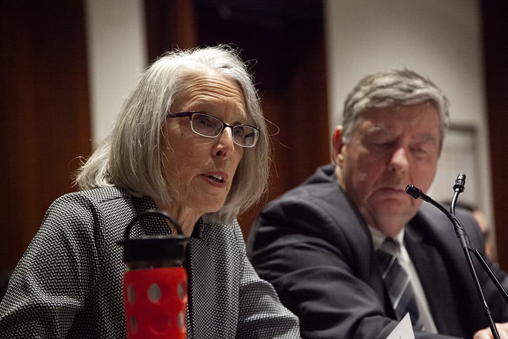 Rep.-elect Margaret Scarsdale (left), a Pepperell Democrat, speaks Friday at a special House committee hearing about her narrow recount victory in the First Middlesex District. (Chris Lisinski/SHNS)
