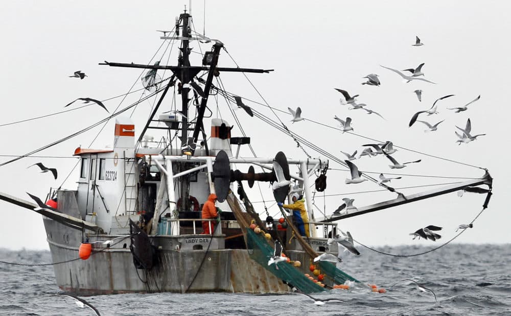 New monitoring rules for Northeast fishermen aimed at better data