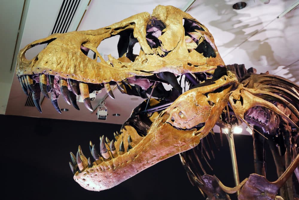 Why the sale of a T. rex fossil could be a big loss for science