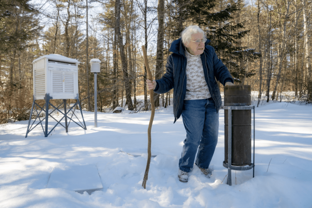 Just a few steps outside Arlene Cole's front door in Newcastle, collects rain and snow in a rain gauge. It's a metal cylinder about half as tall as she is, which Cole brings in every night to measure. (Rebecca Conley/Maine Public)