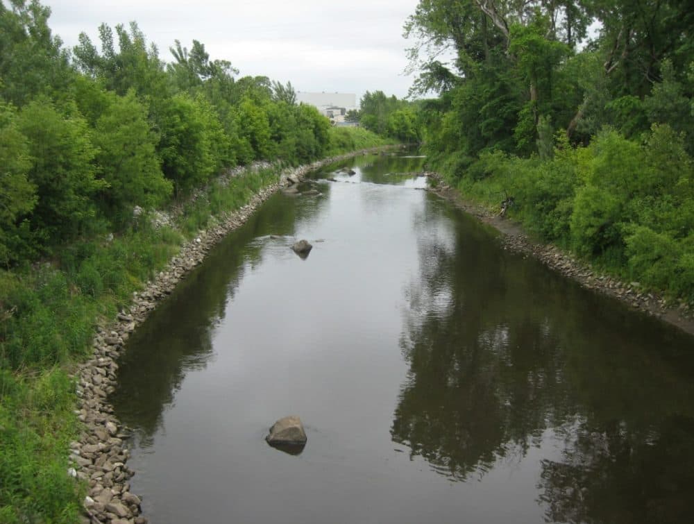 A section of the Housatonic River in Pittsfield, Massachusetts, where PCB-contaminated sediment was excavated and removed. (Nancy Eve Cohen/NEPM)