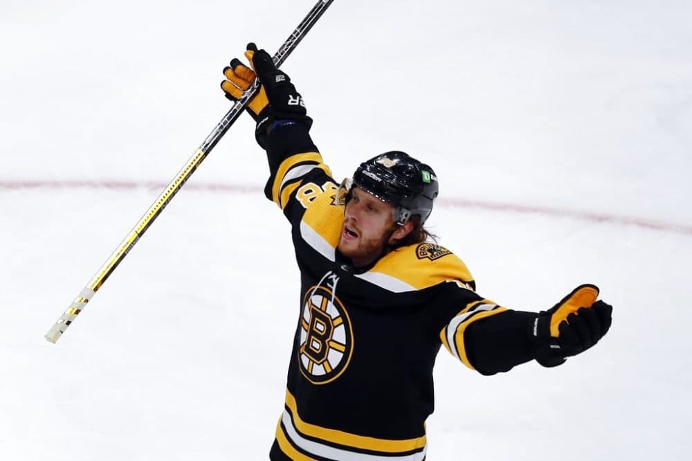Boston Bruins' David Pastrnak celebrates a goal. (Michael Dwyer/AP)