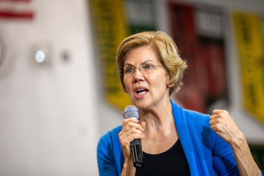 Sen. Elizabeth Warren. (Kerem Yucel/AFP via Getty Images)