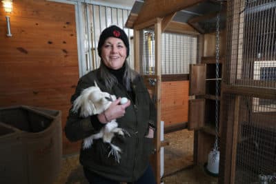 Former Massachusetts Governor Jane Swift in her barn with her hen, Ruth Bader Ginsbird. 

Swift lives on a farm in Williamstown that she has converted into an education center.  (Suzanne Kreiter/The Boston Globe via Getty Images)