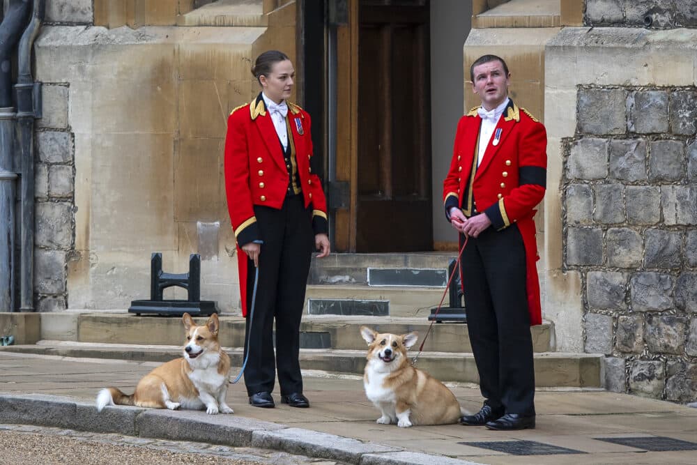 Members of the Royal Household stand with the Queen's royal Corgis, Muick and Sandy as they await the wait for the funeral cortege ahead of the Committal Service of Queen Elizabeth II, at St George's Chapel, Windsor, Monday Sept. 19, 2022. (Justin Setterfield/Pool Photo via AP)