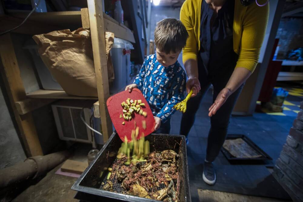 Ben drops a load of cubed cantaloupe peels into the worm composter in the basement. (Jesse Costa/WBUR)