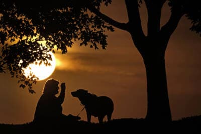 A woman plays with her dog at sunset. (Charlie Riedel/AP)