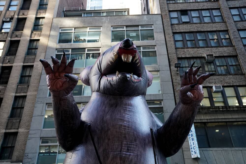 A giant inflatable rat makes its way down the street in midtown New York City  November 26, 2019 where it will sit outside a company's office in New York. - American unions have been using ballooned rodents to highlight unfair labor practises since the 1990s. (Timothy A. Clary/AFP via Getty Images)
