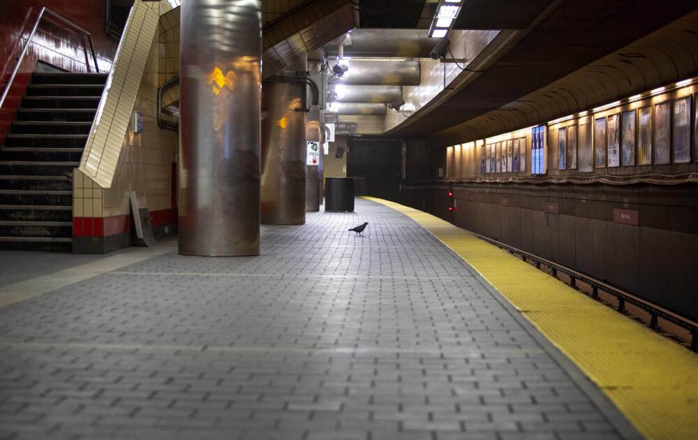 A platform at the Harvard MBTA Red Line station. (Robin Lubbock/WBUR)