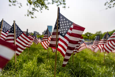 Small flags fly on the Boston Common ahead of Memorial Day. (Jesse Costa/WBUR)