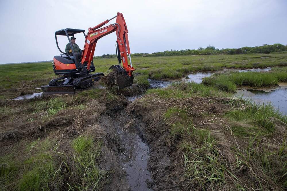 Geoff Wilson of Northeast Wetland Restoration removes a Great Marsh ditch plug.